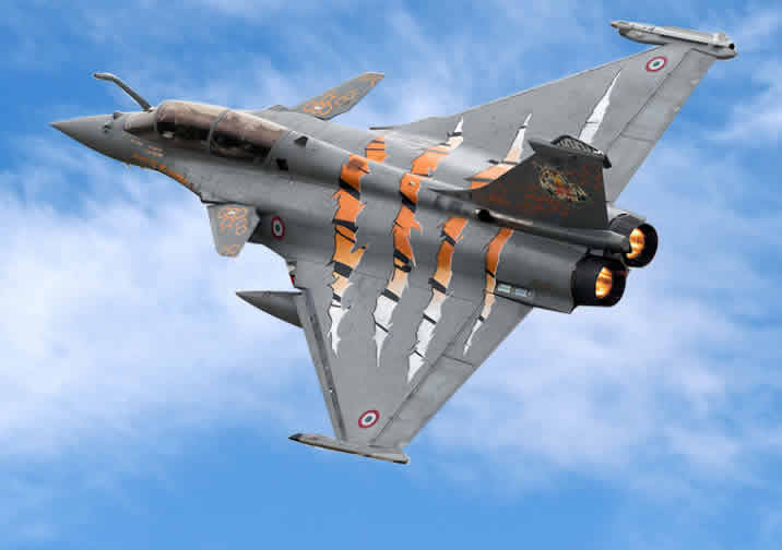 FMS 64mm Nato Tiger Meet PNP RC Airplane