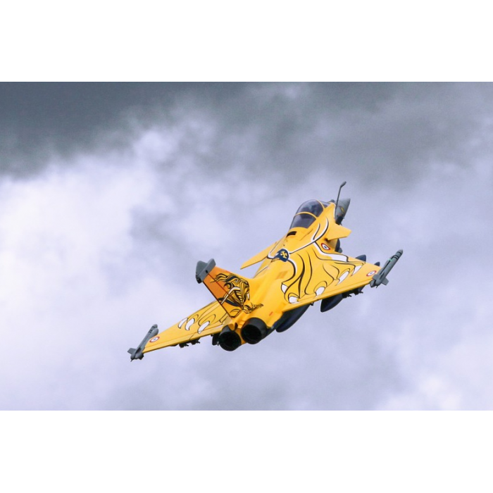 FMS DASSAULT RAFALE 80MM EDF PNP