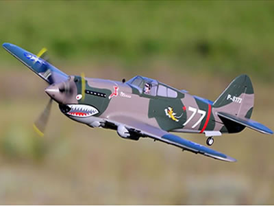 FMS 980mm P-40B Flying Tiger PNP RC Airplane