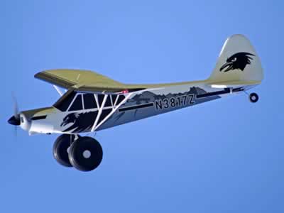 FMS 1700MM PA-18 J3 Piper Super Cub Trainer Beginner With Reflex Gyro PNP RC Plane